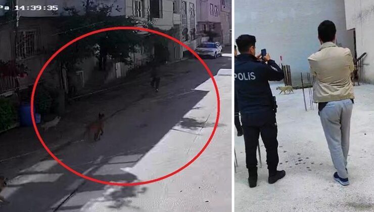 Bursa’da sokak köpeklerinin saldırdığı 2 çocuk yaralandı