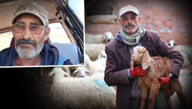 Videosu ile de sosyal medyada gündem olmuştu… Çobanı dolandıran Emre Canbaz ve Mustafa Barlaz tutuklandı